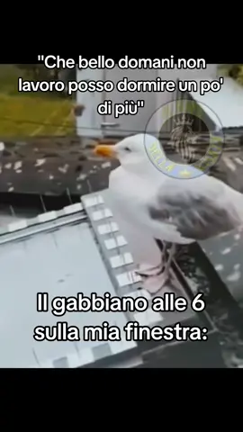 puntuale #accadeoggi 