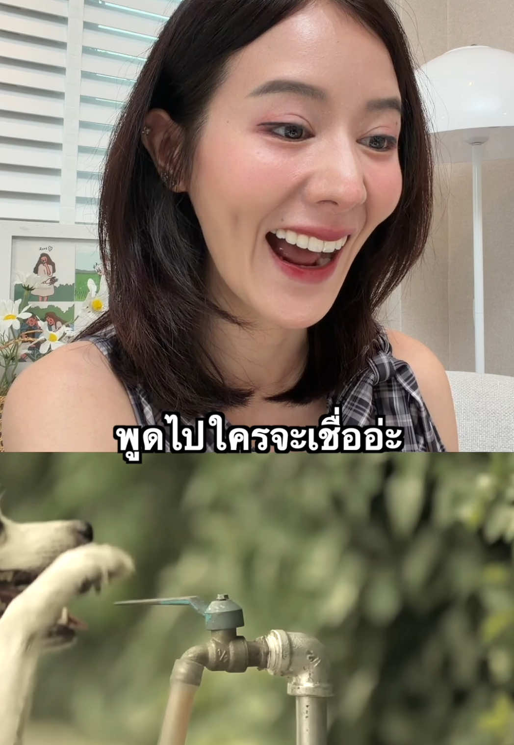 เป็นโฆษณาที่น่ารักมาก อยากได้น้องแบบนี้เลย😍🐶 🎬 The Dog ธนาคารเกียรตินาคิน #โฆษณาไทยเก่า #reaction #รีแอคชั่นกับ #น้องหมา #น่ารัก 