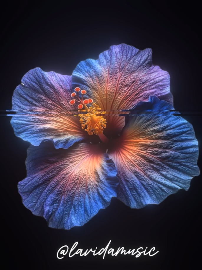 Mujeriego #lyrics #song #music 