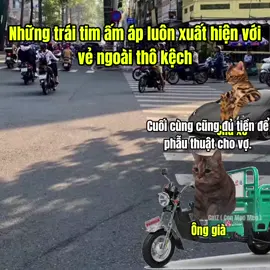 Những trái tim ấm áp âm thầm giúp đỡ bạn #meme #cat 