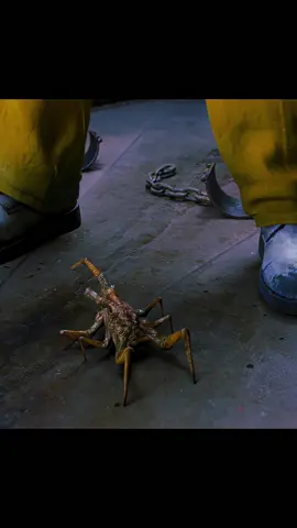 Warning! The big villain has escaped from prison!!#movie #filterchallenge #shorts #foryou #future 