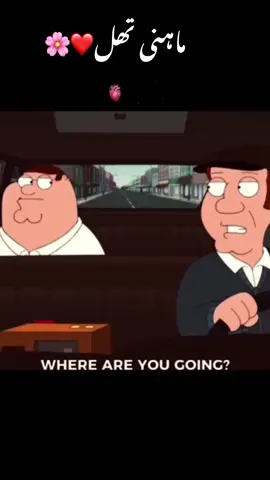 #سنگت_ویڈیو_وائرل_کریسو_آپ_ہیں🥀🌼🙈✨🎇 #تھل_الے_حاضر_ہوں🌸🍂 #اپناتھل🥀💥😊🥰 #تھل۔والو۔حاضری۔لگواؤ۔۔ 