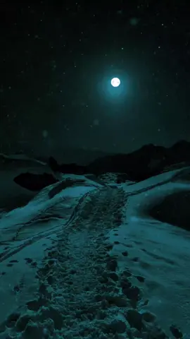 only guura socodka🎻🎧❤️‍🩹 #qaraamilyrics1 #saalaxqaasim #spiderlyrics #somalilyrics #jawi_bila🌊❤️🌴 