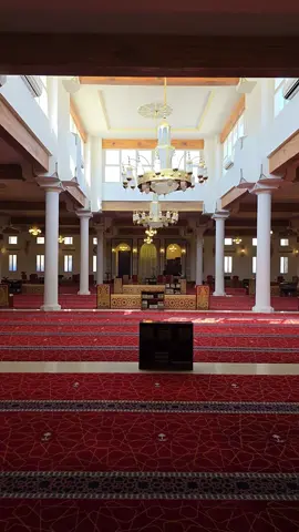 #أجر_لي_ولك💚  #قرآن_كريم_راحة_نفسية 