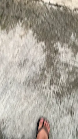 pujon bagian ndi ikii🥶 #pujon24jam #pujonbatumalang #fyp 