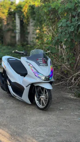 ฟีดหน่อยยย!!#ไฟรุ้งจําง่าย🌈 #pcxดิวะ🛵💨 #เทาดารา #ฟีดดดシ #fyp 