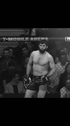 #انكلايف #☪️비비_bibi☪️  ضد بيريرا ##voliamoneiperte✈️✈️🦁a360gradi 