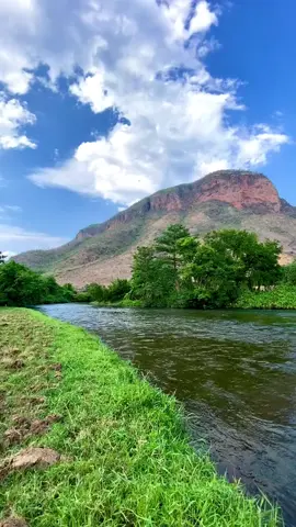 @@@🌲🌲🌲🌷🌷🌷🕊🕊🕊