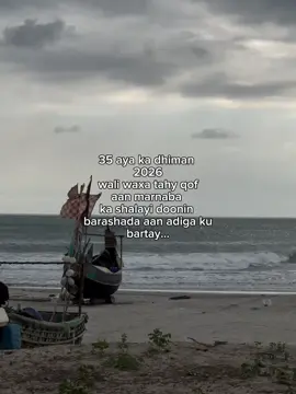 Share #Iسe #somalitiktok #ciise🦕 