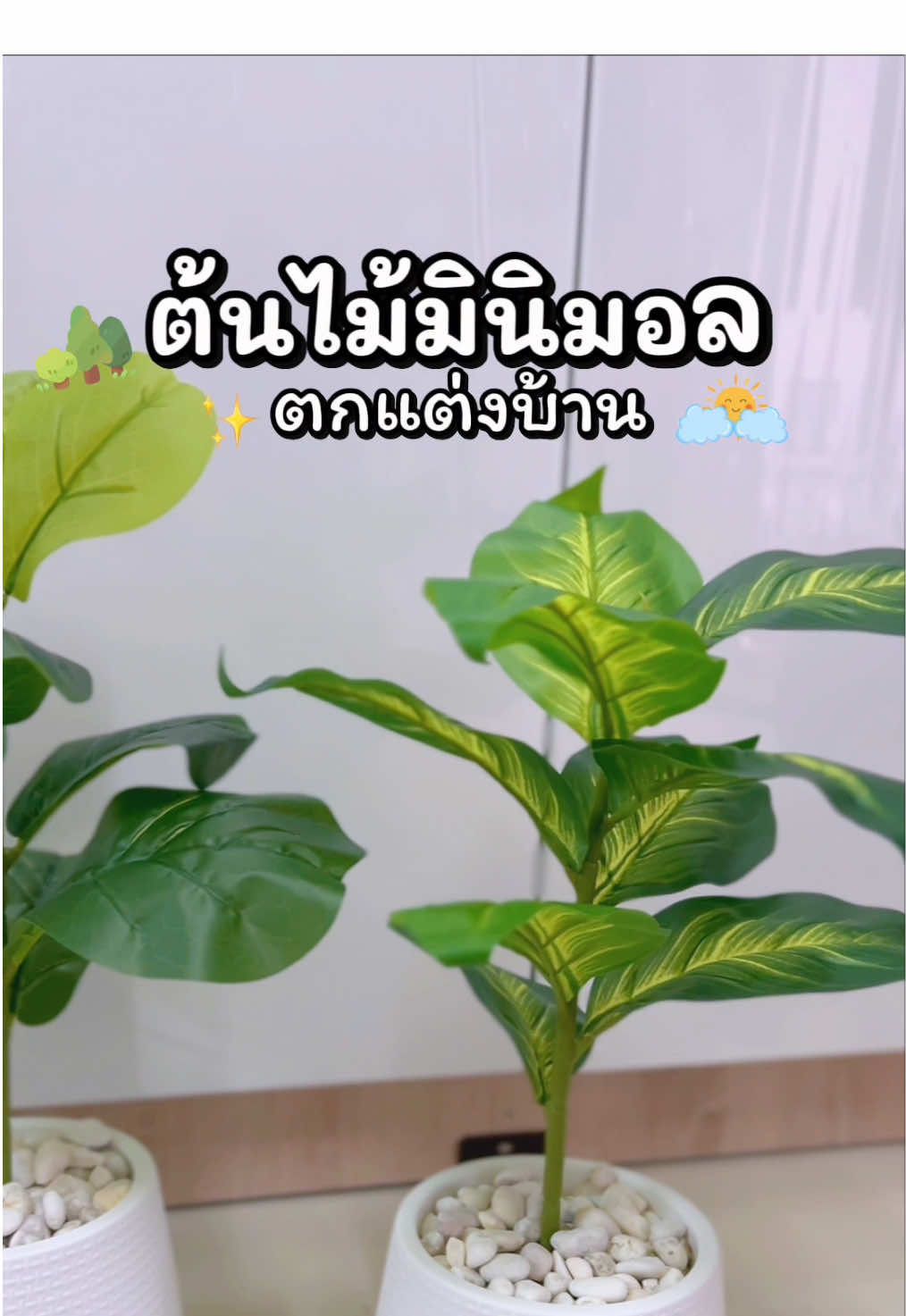 #ต้นไม้ปลอม #ต้นไม้ตกแต่งบ้าน 🌱🌳 #แต่งบ้านสไตล์มินิมอล #ราคาน่ารัก ✨ #สายแต่งบ้านต้องมี 