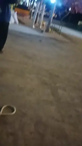 #เทรนด์วันนี้tiktok #ทีมงานไผ่การไฟฟ้า #อําเภอโนนไทย#วัดหนองไผ่  วันลองไฟ