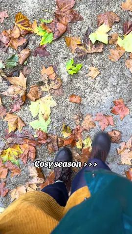 Cosy season >>> #CosySeason #CosyReadingTime #BookishBusiness #AutumnReading