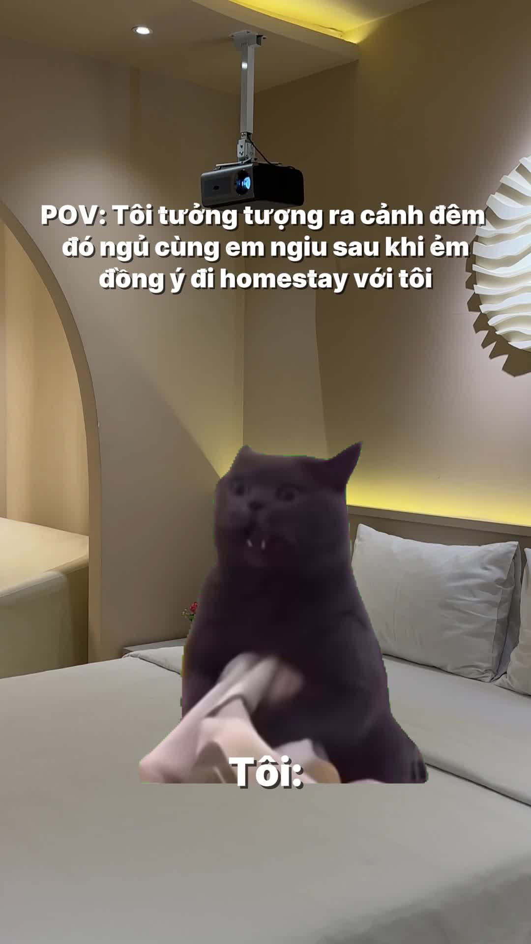 Dị á mà dô tới cái im ru à #spacehome #homestaysg #staycationsaigon #homestay #meme