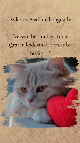 #keşfetteyizzz 