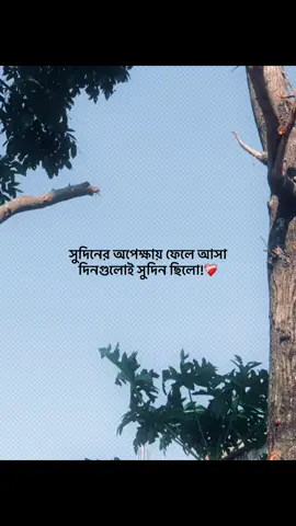 😅💔 #foryou #banglacaption #sadcaption #emotionalvideo #fyp 