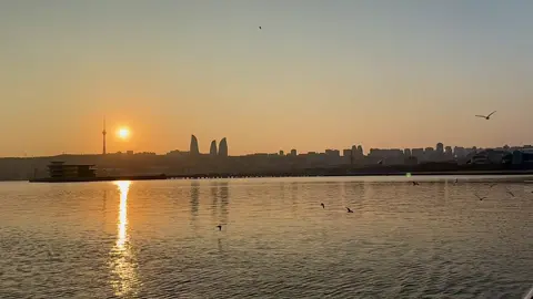 Olmusan qelbime, sanki sen bir sinaq..❤️‍🩹 #fyp #fypシ゚ #azerbaijan #baku 