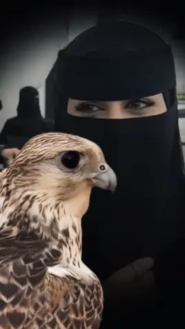 #آكََسًـبّــلَوُر #هاشتاقات ##