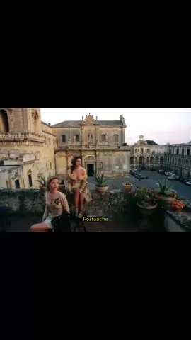 #postaache #پۆستەچی 