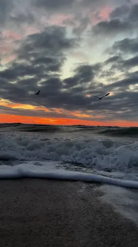 #viral #хочуврек #глобальныерекомендации 