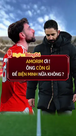 Amorim sẽ trụ lại Man United được bao lâu ? #bigbongda #manunited #amorim #bongda 
