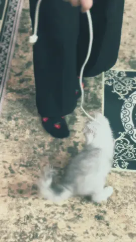 #الشعب_الصيني_ماله_حل😂😂 #تخمطين_اعتبرج_فانزه_الي💆🏻‍♀️ #لايك_متابعه_اكسبلور #اكسبلورexplore 