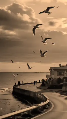 #الموصل #مدينتي 