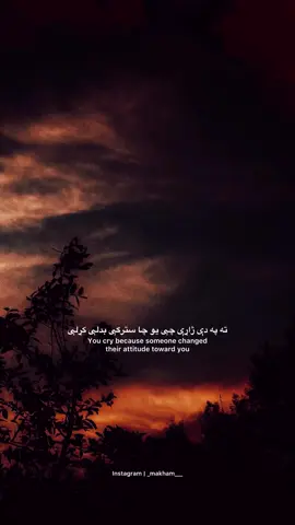 🖤🥀 #pashtoshayari #pashtopoetry #pashtoliterature #afghanistan🇦🇫 #kpk 