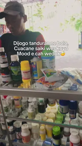 Susah di tebak🤕 #petaniindonesia🇮🇩🇮🇩🇮🇩🌿🌿 #petanimilenial #petani #petanimuda #fypppppppppppppppppppppp 