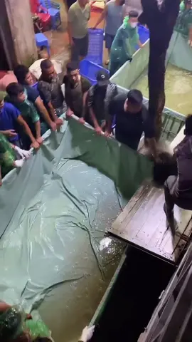 Những ngày tháng ấy 😓 #xuhuong #chacalang #vuachaca #calang #viral 