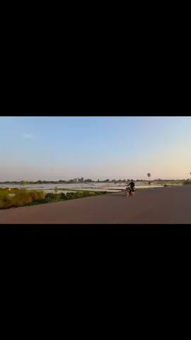 Quando a temporada de chuvas termina é tempo de plantar arroz. 🇰🇭