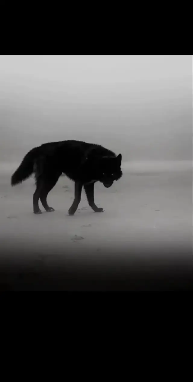 #ستوريات #مشاهد 