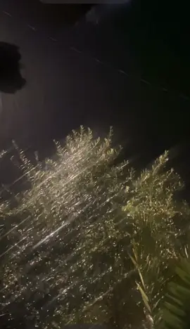 #زيدالحربي#