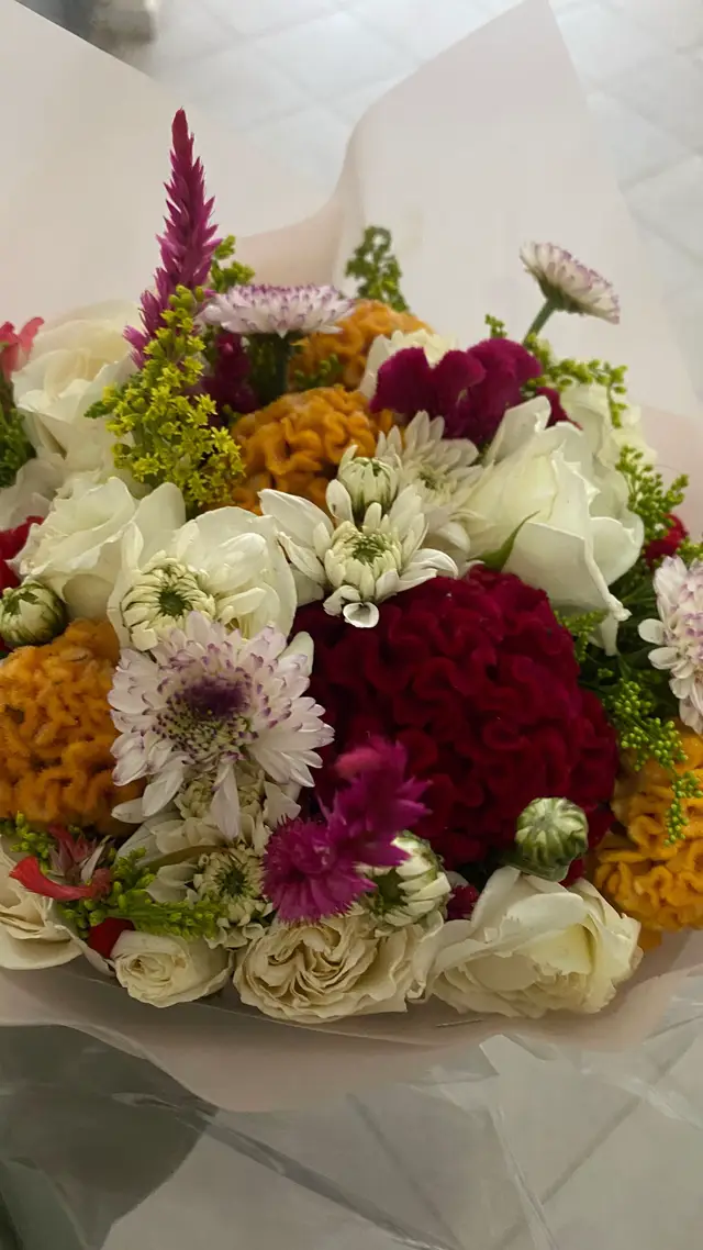 #picture #agadir #maroc #casablanca #flypシ 