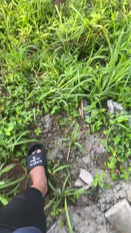 - Yang bikin rindu dari trenggalek bukan cuma alamnya yang indah, tapi cara alamnya selalu terasa hangat dan tenang. Dari bukit, teluk, sampai lautnya yang biru muda semuanya kayak bilang, 