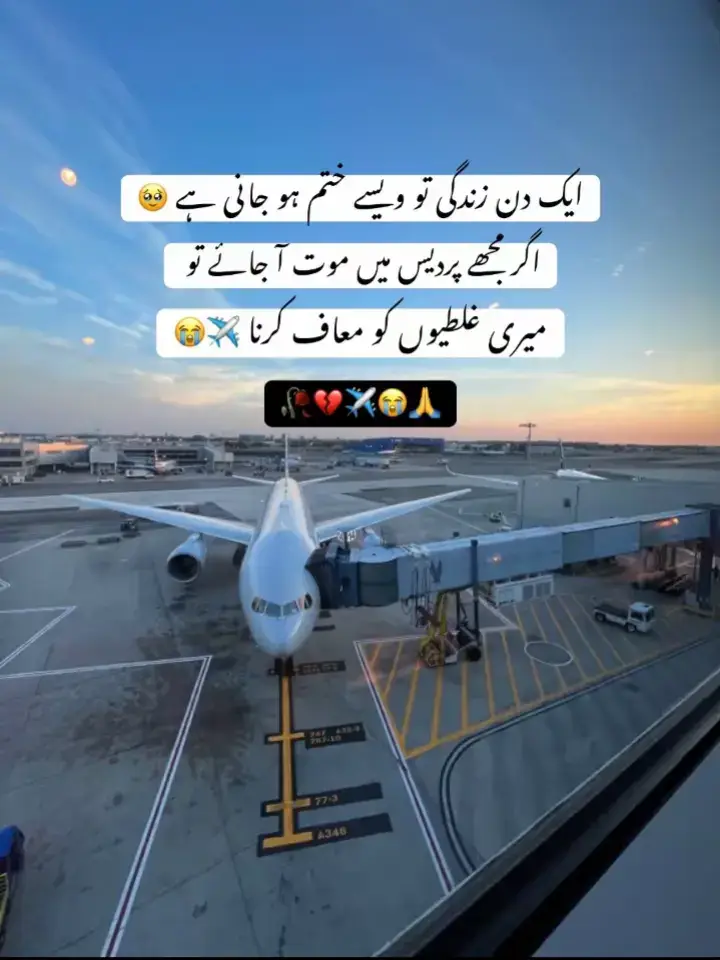 ہے پردیس میں ہر تکلیف موت ہی لگتی ہے یار😭🙏🥹#foryou 