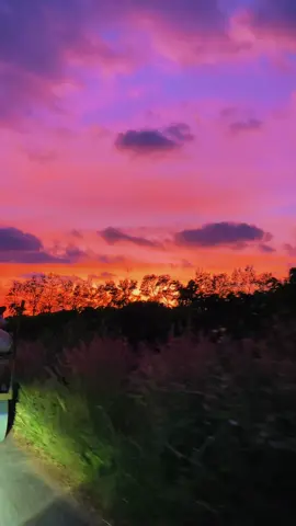 “Chiều se lạnh ở Gia Lai… bà con chở cà phê về, trời đẹp đến muốn đứng lại ngắm thêm, gió thôi ngang mang theo mùi cafe và chút bình yên cuối ngày.”  #langthangphonghieng #pleikugialai #thuhoachcaphe #gialai #fyp 