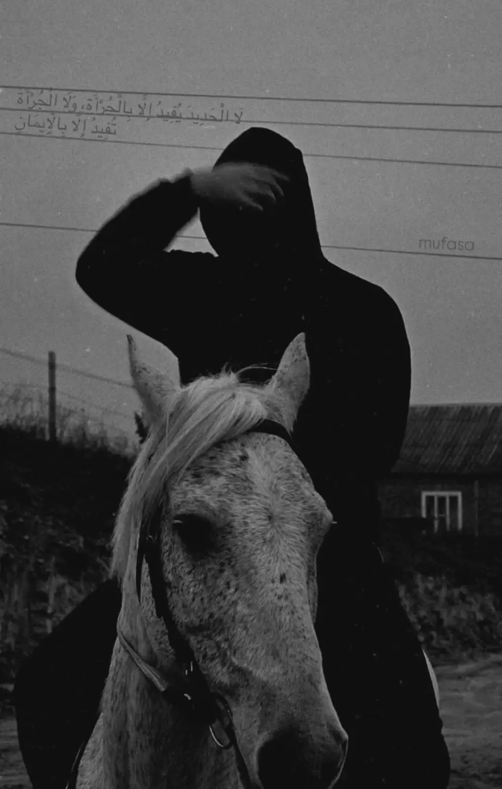 В сумраке, когда мир замирает в ожидании ночи, появляется всадник. В маске, скрывающей любую эмоцию, в одеянии, поглощающем свет. Только его конь, белоснежный и бесшумный, прорезает собой густую тень. Это посланник без имени и цели, чьё появление предвещает лишь неизбежность. Он — тихая, величественная сила, скользящая по грани дня и тьмы. #islamic_video #horse #quran 