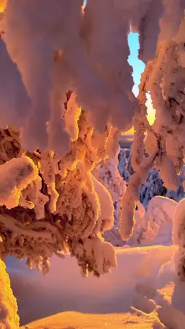 Dans ton souvenir...