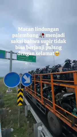 🥹 #fypシ゚ #fypシ゚viral🖤tiktok #lewatberanda #efyepee #macanlindunganpalembang 