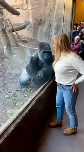 AMAZING ARTWORK! #lawak 