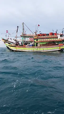 #creatorsearchinsights #jiwalaut 