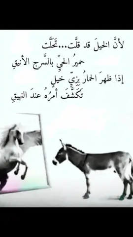 #همسات_الروح💫🖤 #خواطر #تأملات #viral #foryou 