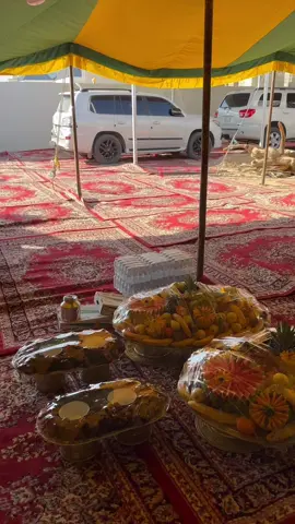 #ارحبووووو_ملايين_تردفها_ملايين_واكثر 