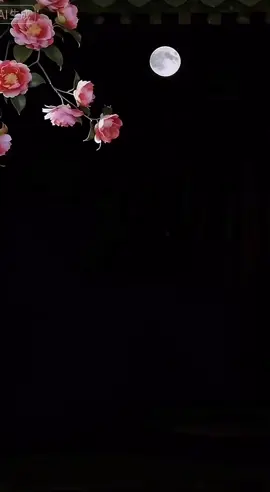 #nhuhoanhutranh #nhưhoanhưtranh #muacotrang #múacổtrang #muacotrangtrungquoc 