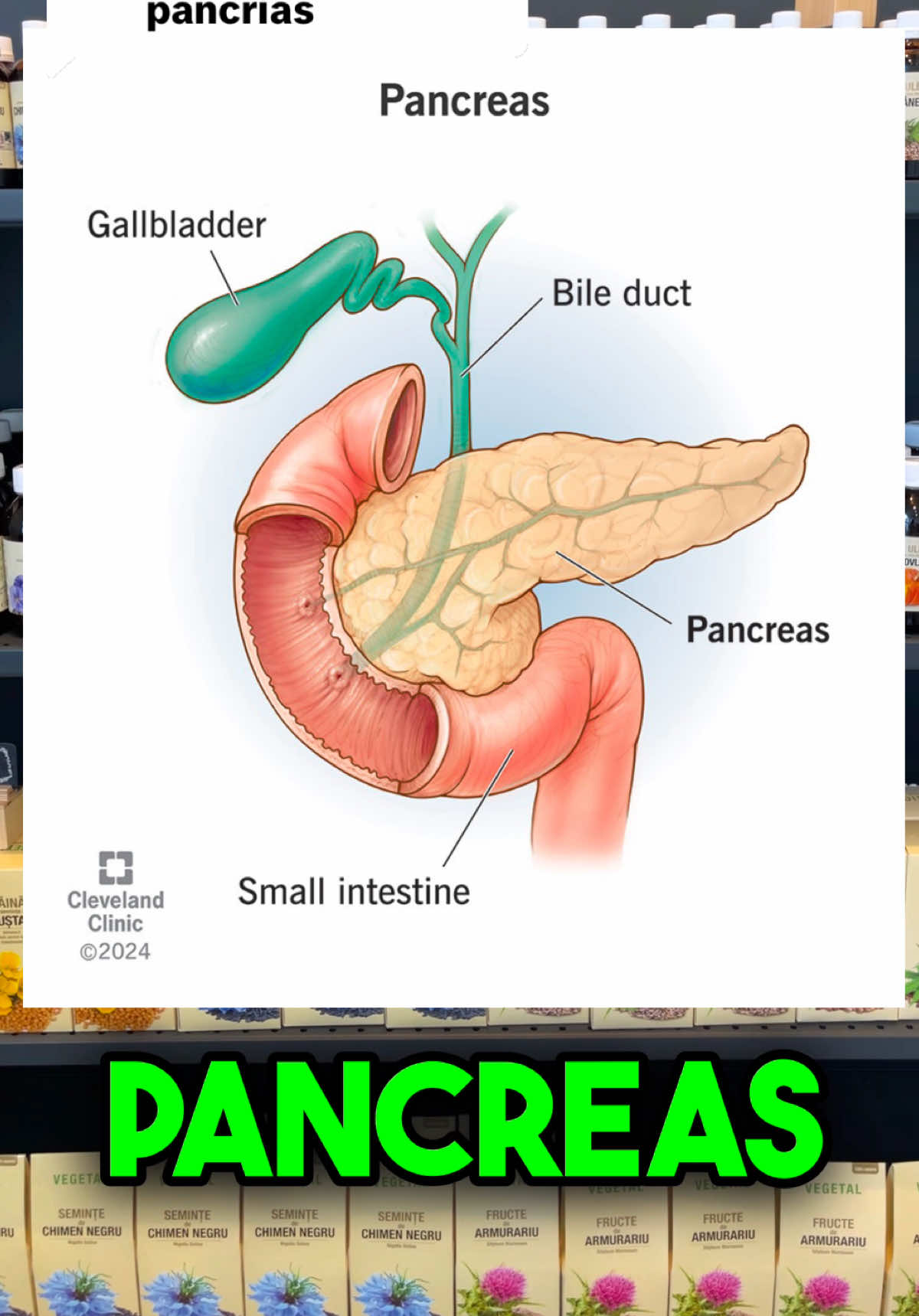 Replying to @Victoria Ogășanu 🌱Trei Uleiuri Naturale pentru Sănătatea Pancreasului. #pancreas #pancreatita #pancreatitis #sanatate #vegetalmd 
