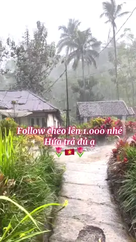 ngày đầu tập tành xây kênh, ai lướt qua hành trình xây kênh này cho e 1 nút fl ạ. Và e cũng xin phép fl lại mọi người  ilove tiktok #tapxaykenhtiktok #nguoimoixaykenh #tapxaykenh24h #xaykenhtiktok #xuhuong 