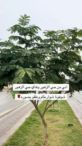 انتم من وين🌸🔴🌹 #الصويرة_العراق #حي_الزهور #هودي #الشعب_الصيني_ماله_حل😂😂 #واسط_الكوت 