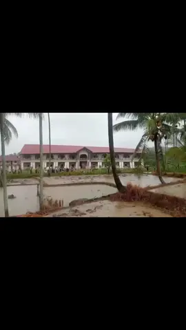 BANGUNAN DUA LANTAI ROBOH AKIBAT TERGERUS AIR SUNGAI DI ACEH...  .  .  Dayah Najmul Hidayah Al- Aziziyah (Dayah Waled Ar) adalah sebuah lembaga pendidikan Islam tradisional atau pesantren yang berlokasi di Gampong Cot Meurak, Samalanga, Bireuen, Aceh, roboh total. Rabu (26/11/2025). Bangunan dua lantai ini roboh karena tergerus aliran sungai Batee Iliek yang berada tepat di belakang bangunan tersebut. Kondisi air Sungai Batee Liek, Samalnga, Bireuen, Aceh. Tampak bagian dari sebuah rumah terbawa derasnya air sungai kemudian menghantam jembatan, hingga bagian rumah tersebut hancur. #SahabatAK