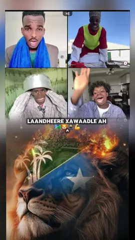 #dhameyso adaa qosli doone @keeyd sanne✅ #macawisley_gangs🇸🇧🦁 #xawaadle_mohamett_🇸🇧_🐅_🔫 #xl_gangs TV 📺 🇸🇧 🦅 #ftpシ 