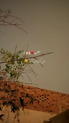 مطلب 👀🥲 #fyp #viewsproblem #foryou #foryoupage #viral 